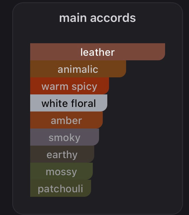 Tom Ford ombré leather